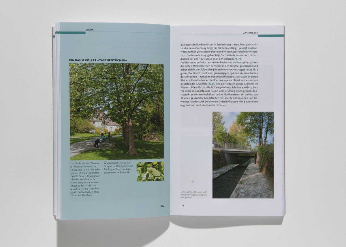 Der Taubenbaum aus China im Lindengut (r). Die kanalisierte Eulach unter der Tösstalstrasse.