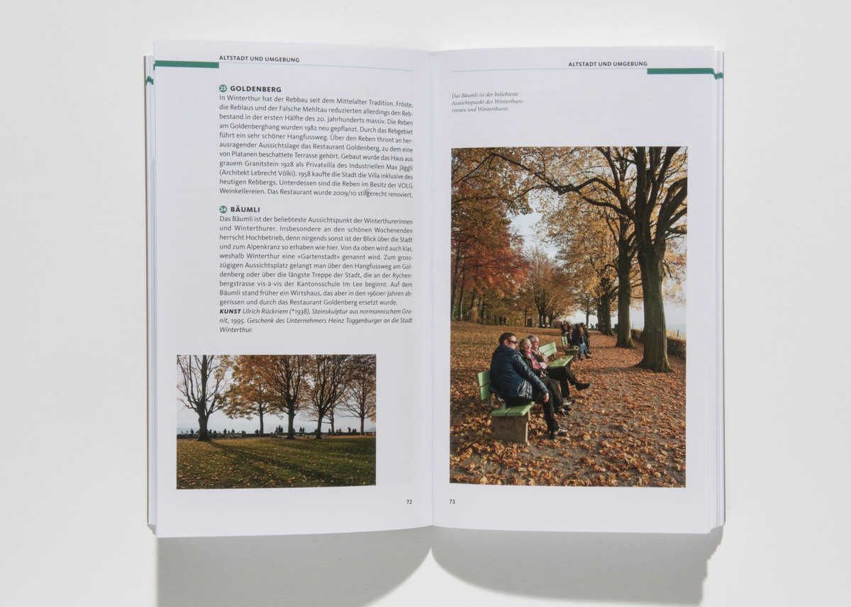 Der Goldenberg und Bäumli